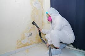 Best Emergency Mold Remediation  in Glespie, IL